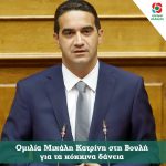 Ομιλία Μιχάλη Κατρίνη στη Βουλή για τα κόκκινα δάνεια
