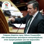 Γιώργος Καμίνης προς Άδωνι Γεωργιάδη: «Να αποφύγουμε φαινόμενα αισχροκέρδειας στην αγορά μασκών για τον κορωνοϊό»