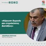 Ανδρέας Πουλάς: «Κύρωση δωρεάς και ετερόκλητες διατάξεις»