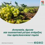 Αναγκαία, άμεσα και ουσιαστικά μέτρα στήριξης του αμπελοοινικού τομέα