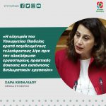 Χαρά Κεφαλίδου: «Η ολιγωρία του Υπουργείου Παιδείας κρατά παγιδευμένους τελειόφοιτους λίγο πριν την ολοκλήρωση εργαστηρίων, πρακτικής άσκησης και εκπόνησης διπλωματικών εργασιών»
