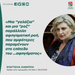 Ευαγγελία Λιακούλη: «Μια "γαλάζια" και μια "ροζ" παράλληλη αφηγηματική ροή, που αμφότερες παραμένουν στο επίπεδο του …αφηγήματος»