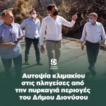 Αυτοψία κλιμακίου του Κινήματος Αλλαγής στις πληγείσες από την πυρκαγιά περιογές του Δήμου Διονύσου