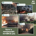 Ανακοίνωση Δικτύου Νέας Γενιάς Κινήματος Αλλαγής για τις πυρκαγιές