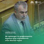 Ανδρέας Πουλάς: «Με πρόσχημα τη γραφειοκρατία, δημόσια έργα παραδίδονται στον ιδιωτικό τομέα»